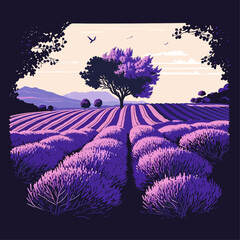 Beautiful colors purple lavender fields, Provence in France - obrazy, fototapety, plakaty