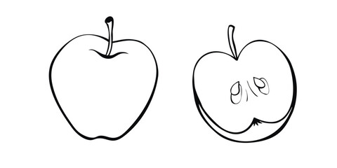 Vector contour drawing of whole and cut in half apple in doodle style. Hand-drawn isolated fruit. Clipart, symbol of harvest, summer, autumn, garden, healthy food, school snack