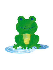 frog on the puddle