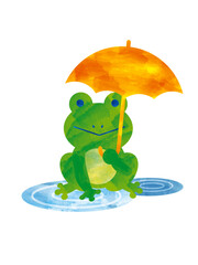 frog on the puddle with umblera