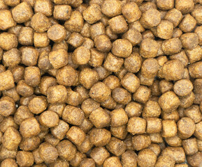 Dry pet food texture background. Food for cats and dogs pattern. Pile of granulated animal feeds. Granules of good nutrition for dogs and cats