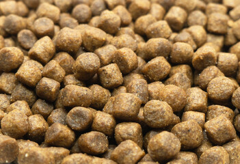 Fototapeta na wymiar Dry pet food texture background. Food for cats and dogs pattern. Pile of granulated animal feeds. Granules of good nutrition for dogs and cats. Macro shot