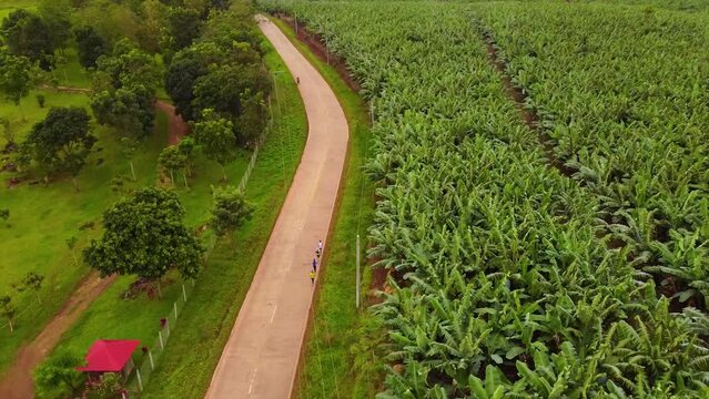Aerial shot of runners on the same phase