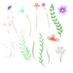 set of floral watercolor elements for design