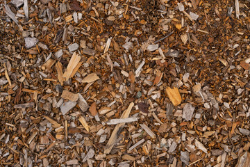 Fototapeta premium Mulch background. A pile of wood chips to be used as landscaping mulch.