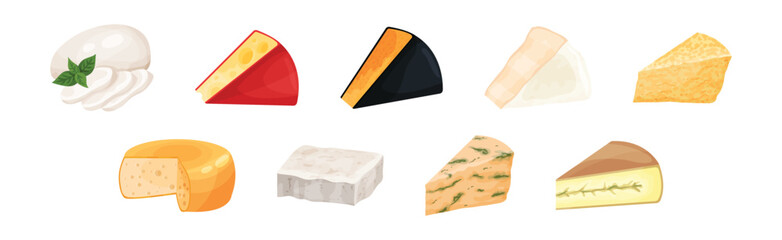 Cheese Slabs as Fresh Milk Food Vector Set