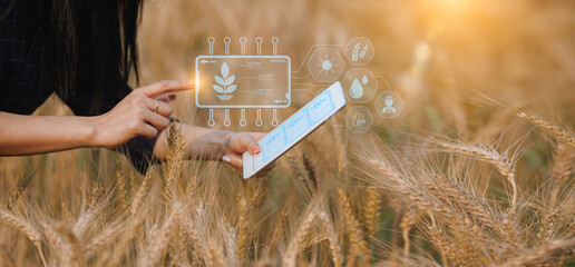 Farmer using digital tablet computer and modern interface icons with light shines sunset, Business...