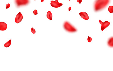 Red rose petal frame. Flower part flying background. Summer and spring blossom wave. Valentine romantic card. Happy Woman, Mother day. Beauty Spa product. Organic cosmetic. Vector illustration