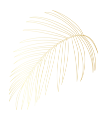 Poster Gold palm leaf illustration © TWINS DESIGN STUDIO
