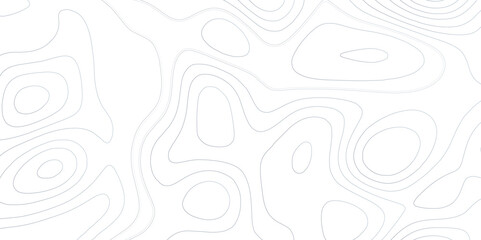 White wave paper curved reliefs abstract background, Abstract topographic contours map, Topographic background and texture, monochrome. White wave paper curved reliefs abstract background.