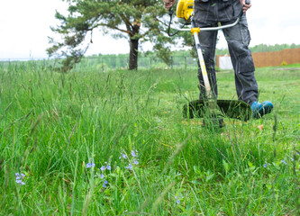 A male gardener mows the green grass of the lawn in the backyard with a gasoline mower. Trimmer for the care of a garden plot