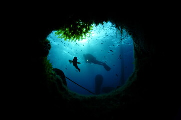 scuba diver in the wreck