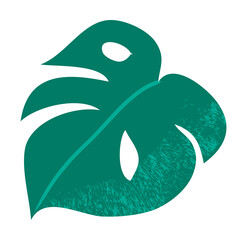 Tropical leaf vector