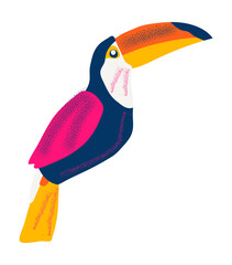 Obraz premium Tropical hornbill bird vector