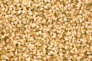 Top view of Dried Jasmine flower background. Heap pile of Jasmine buds. herbal Tea ingredients. floral texture. floral pattern. Fragrant Natural Pure Jasmine Buds Organic Dried Jasmine Flowers.