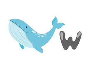 Obraz premium Concept Alphabet W whale. This illustration is a flat vector cartoon design featuring the alphabet letter W and a friendly whale. Vector illustration.