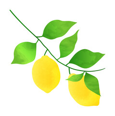Watercolor lemon leaf branch