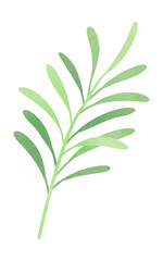 Watercolor herbal leaf branch