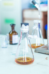 Laboratory glassware for chemical analysis, science laboratory research and development concept.