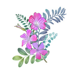 Spring wildflowers bouquet. Purple Queen flowers watercolor botanical illustration. Agrostemma flowers spring leaves arrangement. Romantic floral composition