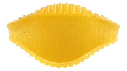 raw Conchiglie Rigate, uncooked Italian Pasta, isolated on white background, full depth of field