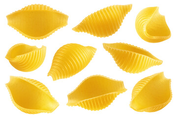 Naklejka premium raw Conchiglie Rigate, uncooked Italian Pasta, isolated on white background, full depth of field