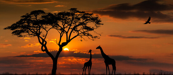 Silhouettes of african wild animals at sunset. Evening in African savanna. - obrazy, fototapety, plakaty