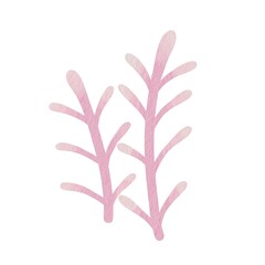 Obraz premium Coral pink watercolor illustration for decotation on marine life and aquarium concept.