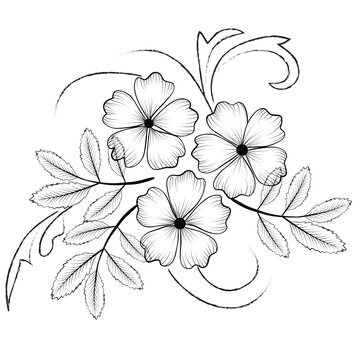 Free Vector line art and hand drawing flower art black and white flat design  simple flower 22804332 Vector Art at Vecteezy