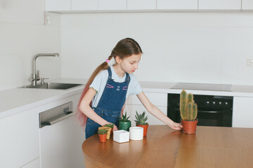 Ten year old girl growing plants at home. Concept of home garden. Cacti and succulents in cement pots. Plant care. Spring time. 