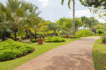 Obraz premium Palm collection in сity park in Kuching, Malaysia, tropical garden with large trees and lawns.