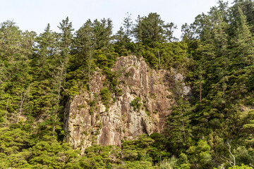 Cliff-top panorama of Karangahake's stunning natural beauty