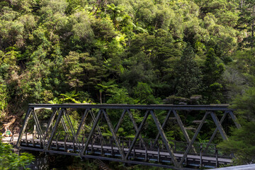 Fototapeta na wymiar View of Ohinemuri River Bridge