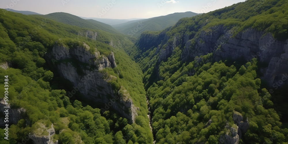 Poster A view from a height of a mountain peak with green trees in the fog.Aerial view. Panoramic shot. Generative AI