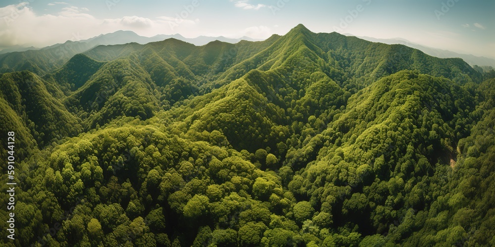 Poster A view from a height of a mountain peak with green trees in the fog.Aerial view. Panoramic shot. Generative AI