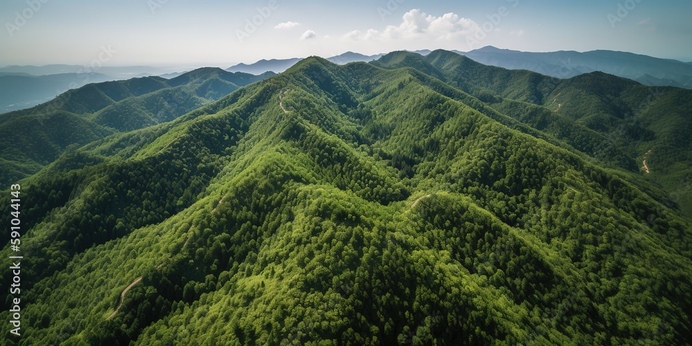 Sticker A view from a height of a mountain peak with green trees in the fog.Aerial view. Panoramic shot. Generative AI