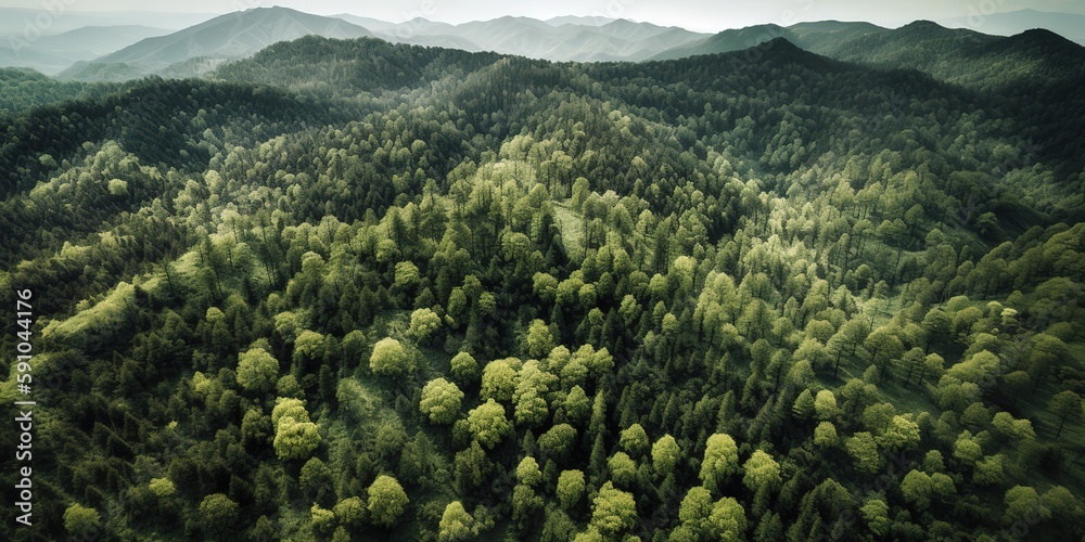 Aufkleber A view from a height of a mountain peak with green trees in the fog.Aerial view. Panoramic shot. Generative AI
