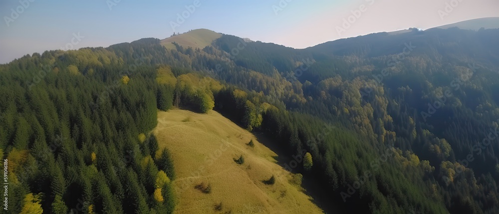 Poster View from the height of the forest in the fog.Aerial view. Panoramic shot. Generative AI