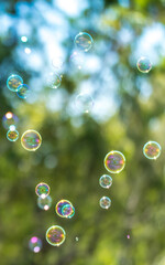 Bubbles floating in the air