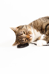 tiger cat lies next to a lens cap and holds it with its paws