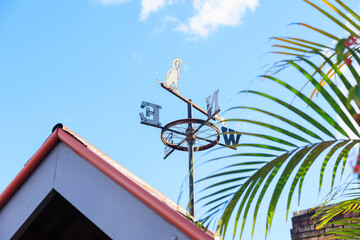 赤い屋根の家と動物の東西南北