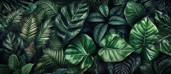 Group background of dark green tropical leaves. Panoramic background. Generative AI illustration.