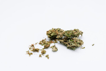 Medical marijuana flower. Close up cannabis flower. Medical marijuana bud. Weed buds on white background