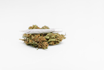 joint of marijuana over dried cannabis flower.Medical marijuana bud. Weed buds on white background