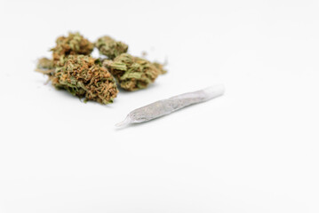 cannabis joint and Medical marijuana bud on white background