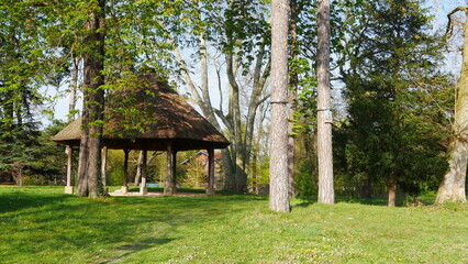 Grande plaine de verdure dans une zone forestière, avec une construction écologique et tout en bois pour se mettre à l'abri du soleil ou dans l'ombre, sur un gazon bien entretenu, presque personne