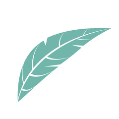  leaf vector