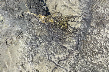 Background of lava stone of Canary island Lanzarote