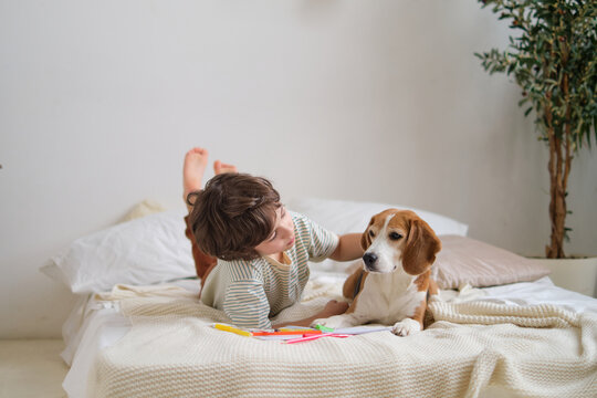 heartwarming image of a boy and his beagle sharing a peaceful moment in a cozy bedroom, showcasing the bond between humans and pets and their ability to provide emotional support.
