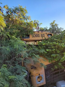 Vertical shot of an abandoned school bus covered in vegetation